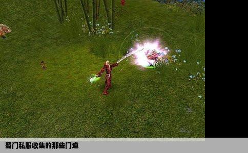蜀门私服收集的那些门道