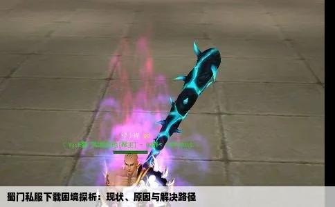 蜀门私服下载困境探析：现状、原因与解决路径