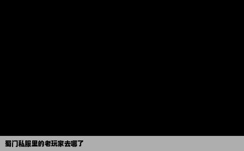 蜀门私服里的老玩家去哪了