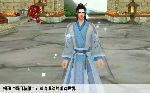 揭秘“蜀门私服”：暗流涌动的游戏世界