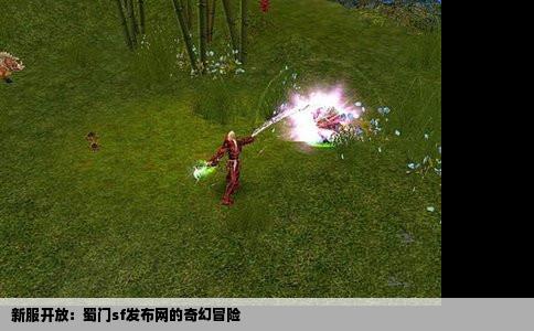 新服开放：蜀门sf发布网的奇幻冒险