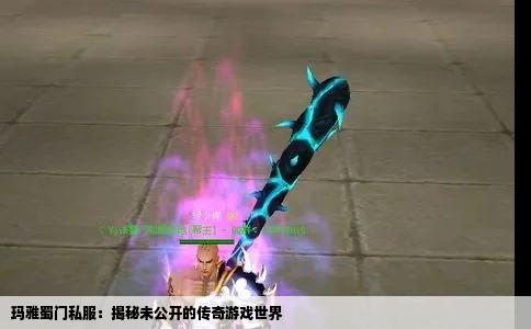 玛雅蜀门私服：揭秘未公开的传奇游戏世界