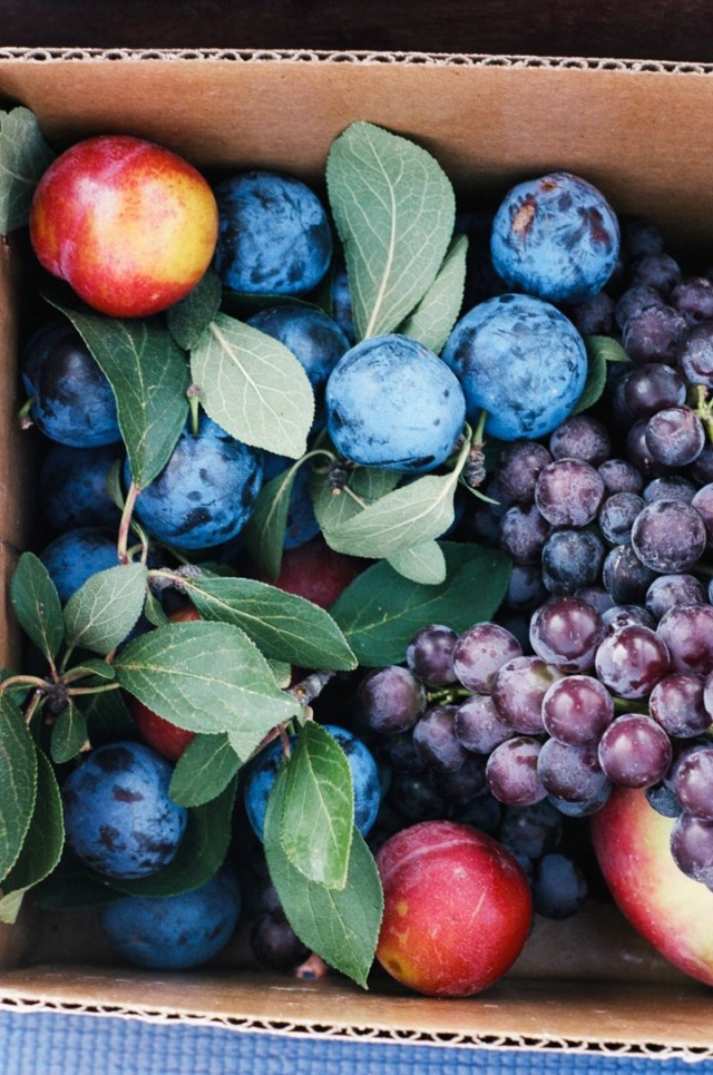 All'ingresso del castello nelle stanze dei cassetti... - Pagina 20 2e10