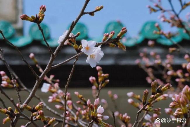 热恋期的生理性喜欢藏不住